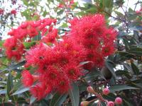 Albums/20060200-New Zealand 2006/20060318-Kaikiura/54